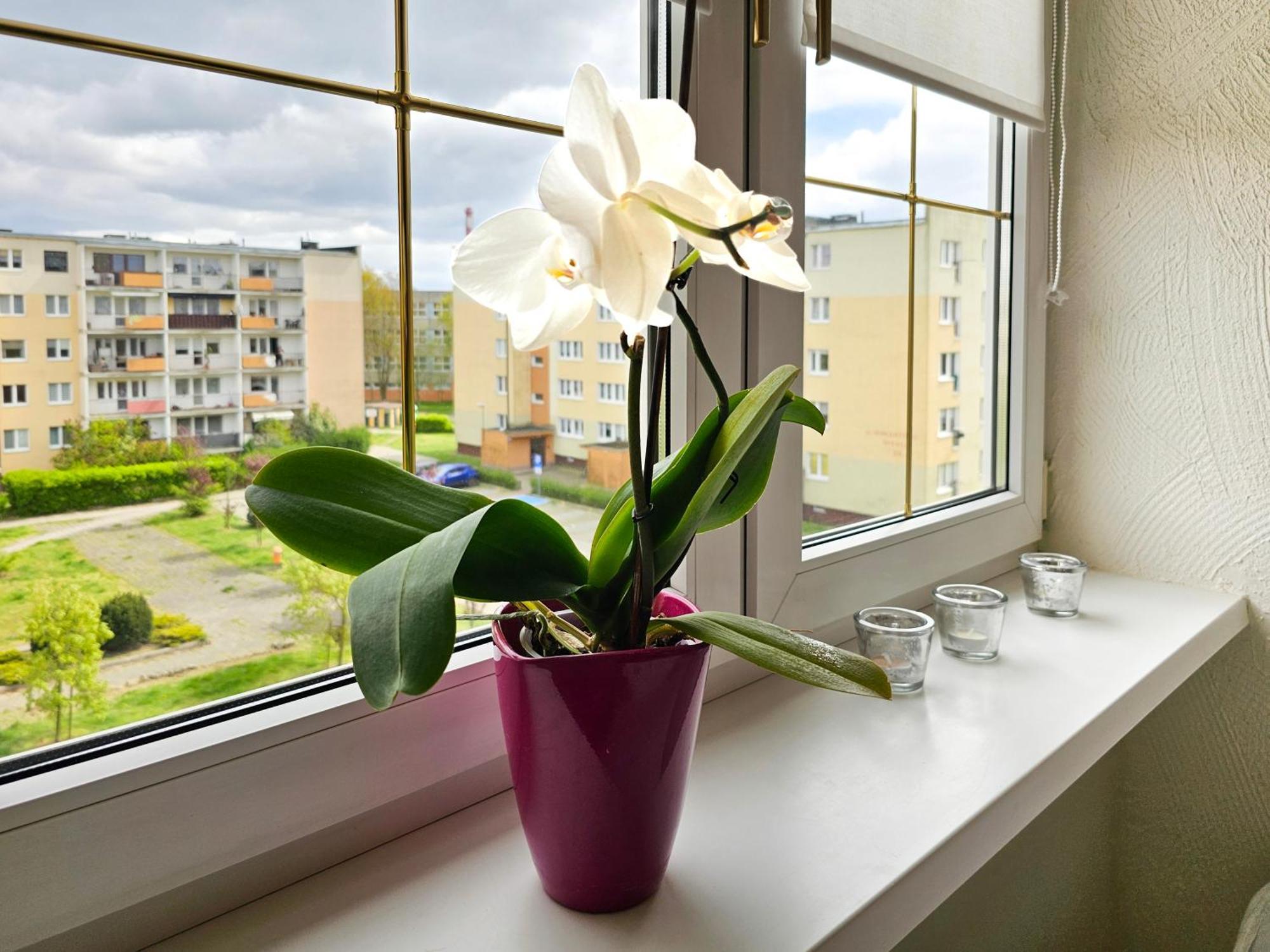 Visit Baltic - Apartament Sunny Świnoujście Zewnętrze zdjęcie